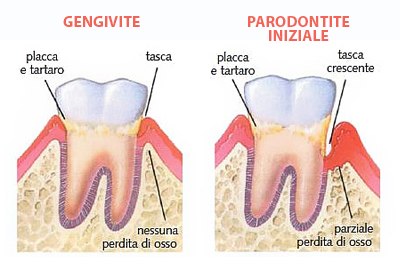 Dentomedica